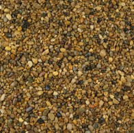 daltex-golden-pea-2-5mm-dried-w04 (2)
